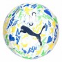 NEYMAR Jr PUMA LABDA